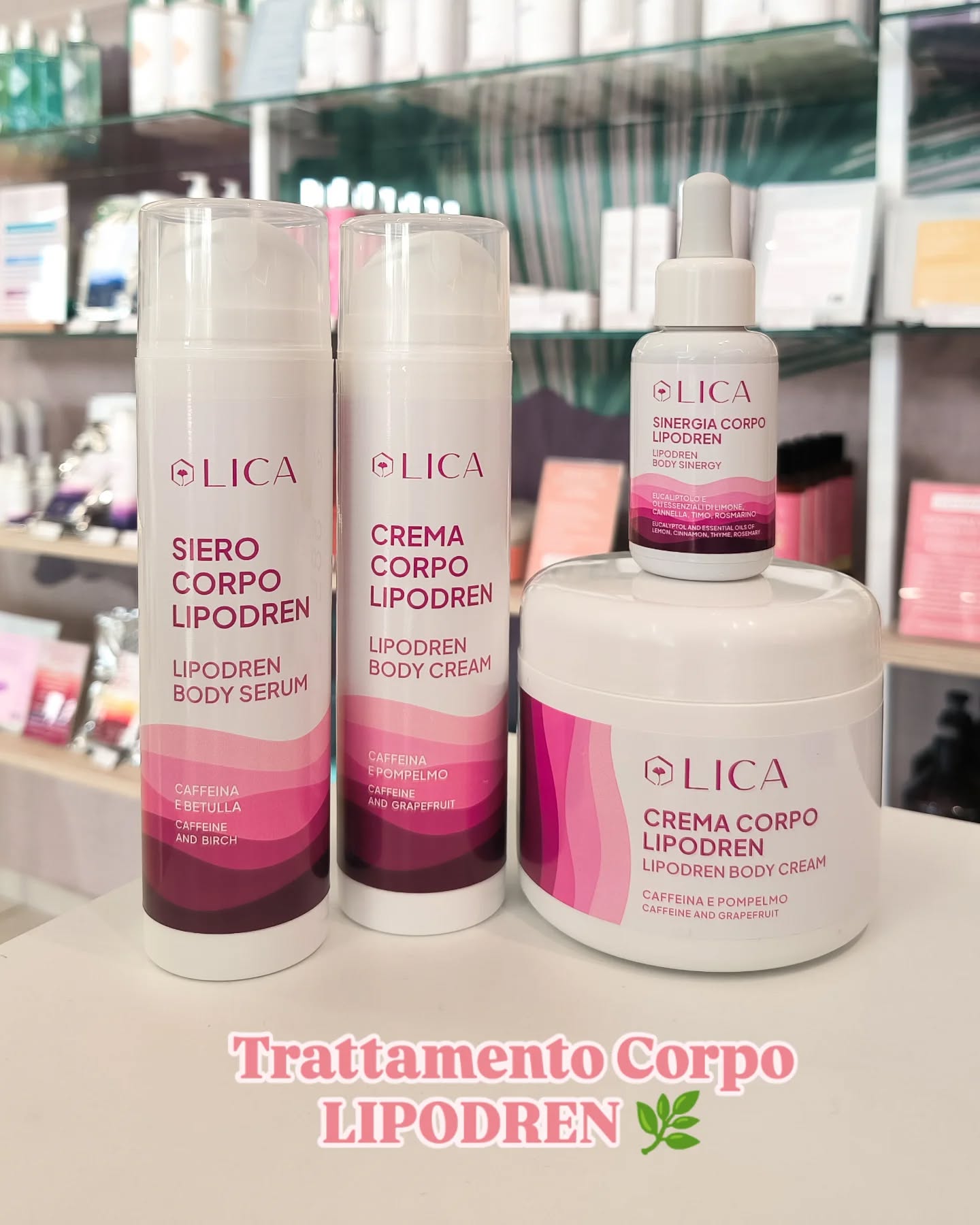 SINERGIA CORPO LIPODREN Eucaliptolo e Oli Essenziali