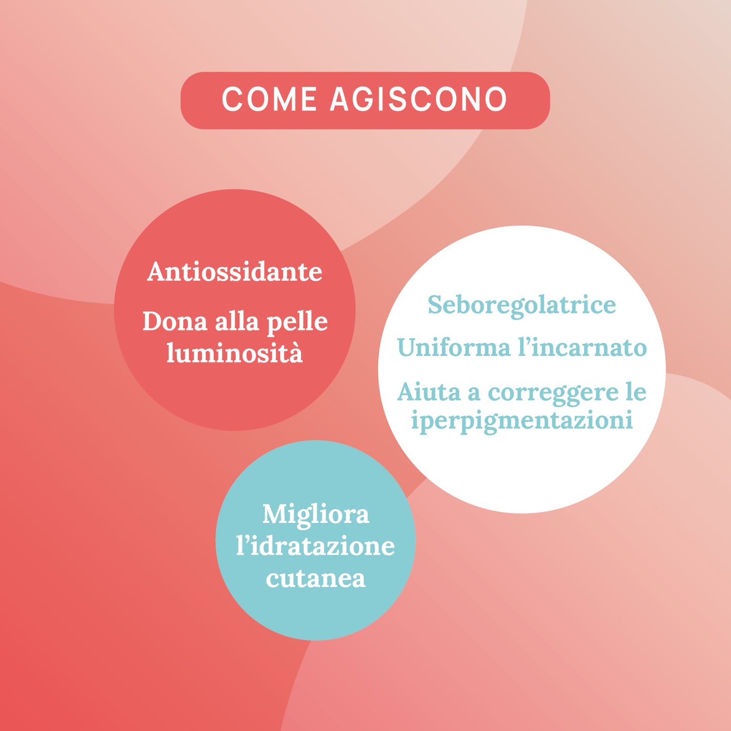 SIERO VISO Vitamina C & Niacinamide