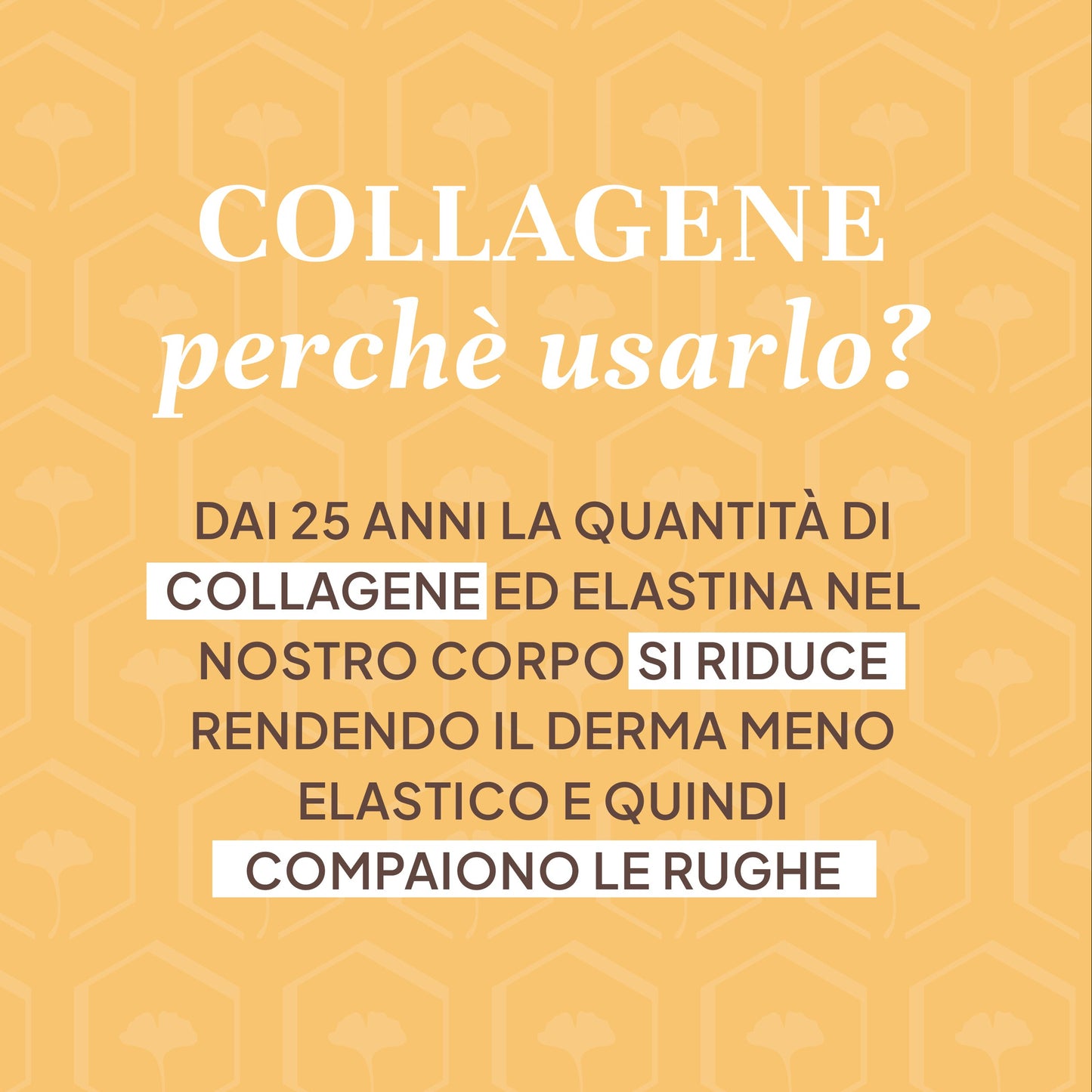 CREMA VISO Collagene & Elastina