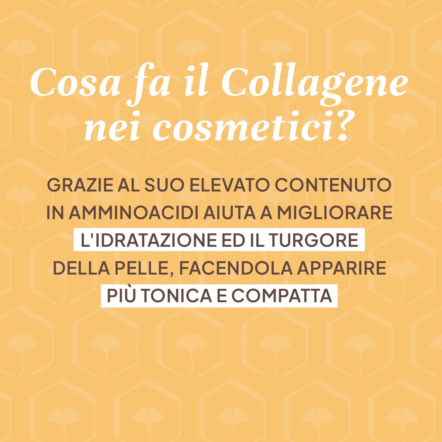 CREMA VISO Collagene & Elastina
