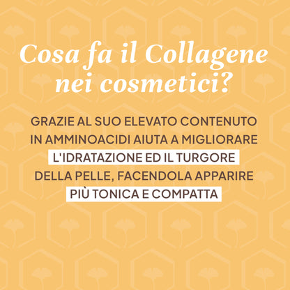 CREMA VISO Collagene & Elastina
